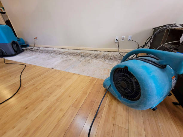 Professional Structural Drying technician working in McMinnville, TN